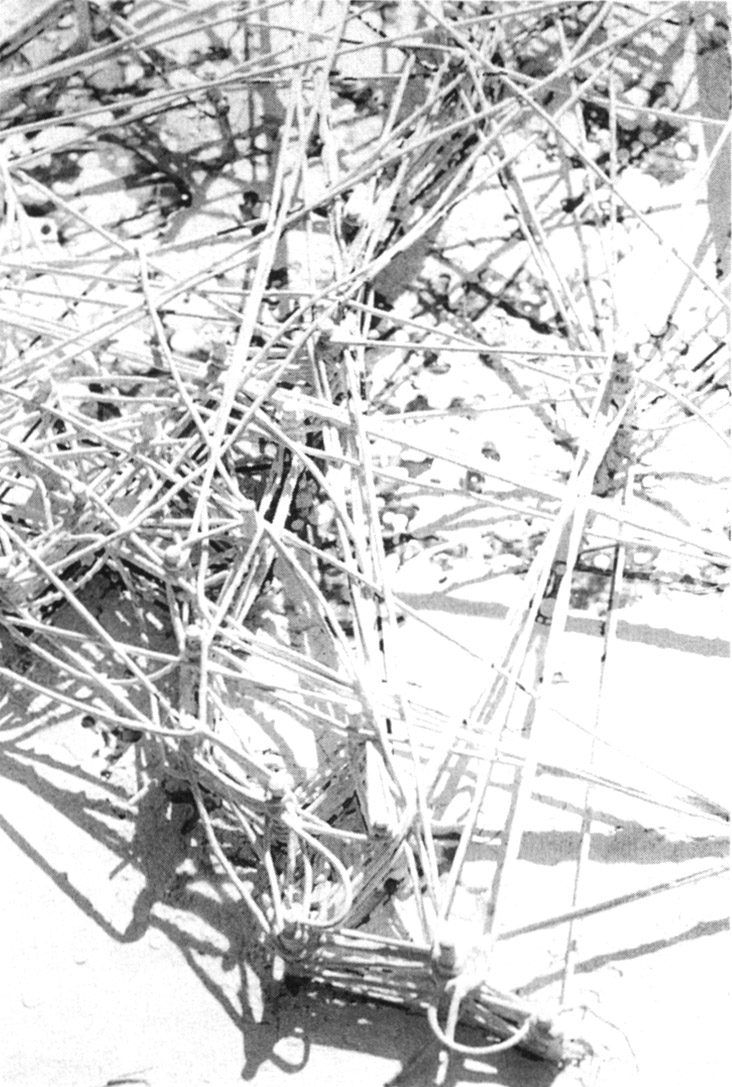 Erewhonのひそみに倣うの画像