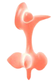 フロンティア・オブ・コミュニケーションの画像