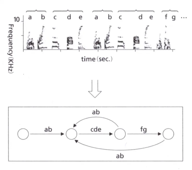 音楽の起源と小鳥の歌の画像