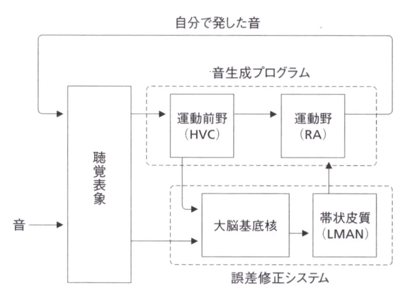 音楽の起源と小鳥の歌の画像