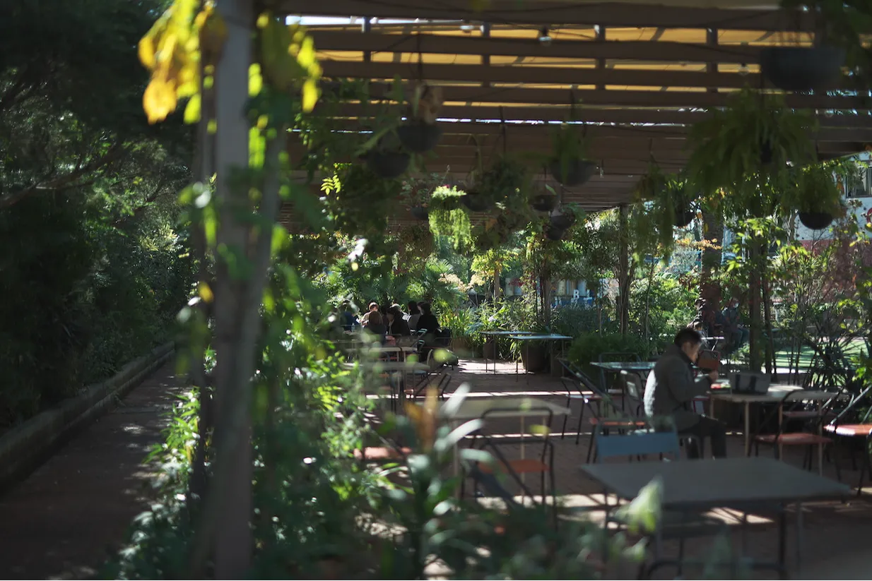 弱いメディアを実験するの画像