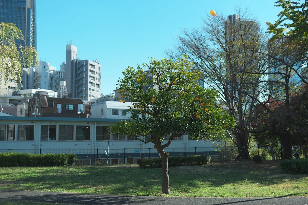 弱いメディアを実験するの画像