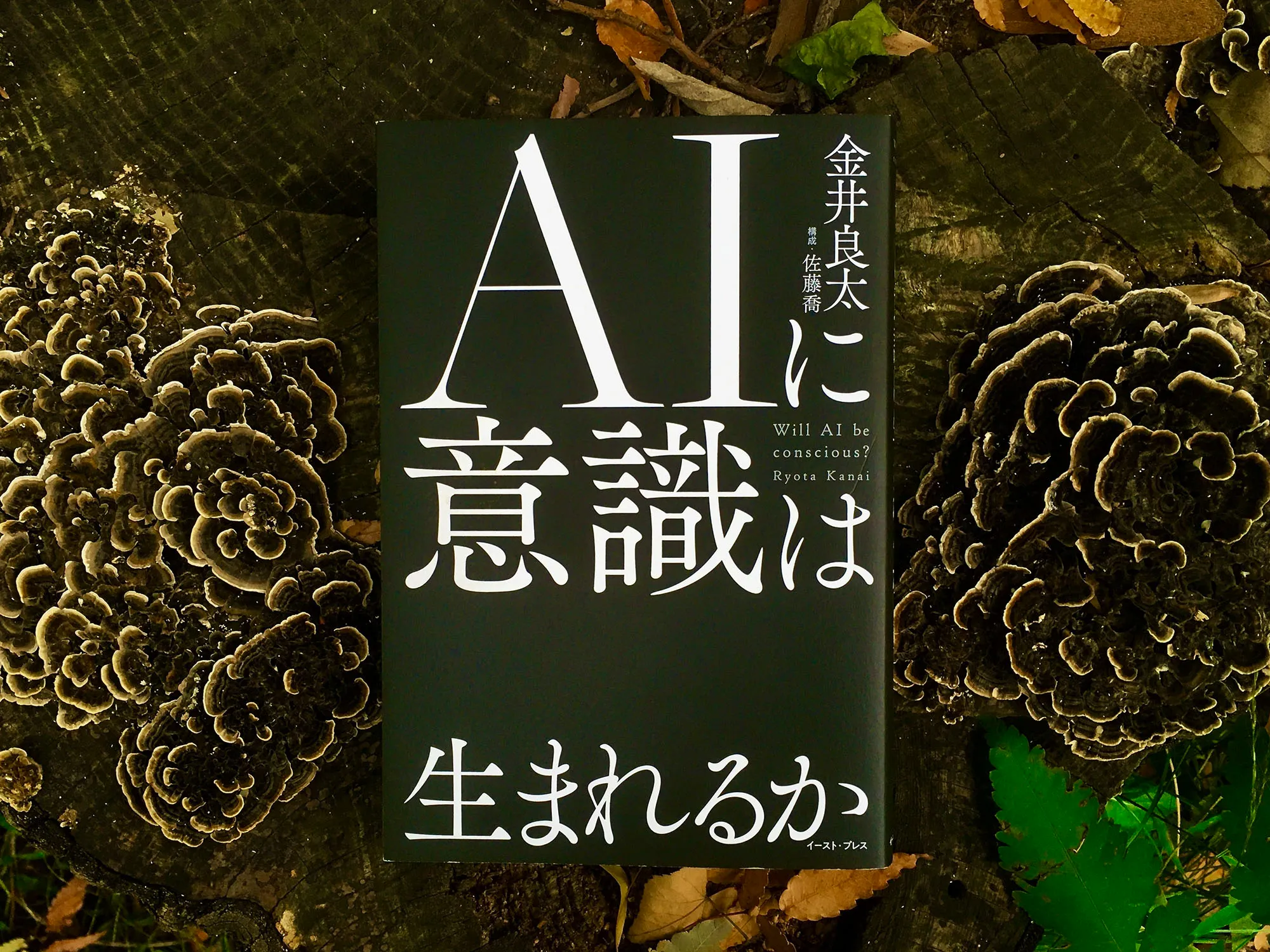 生命と意識は、いかにして結びつくのかの画像