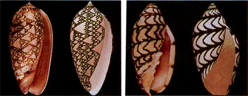 薄暗い中国人の部屋での画像