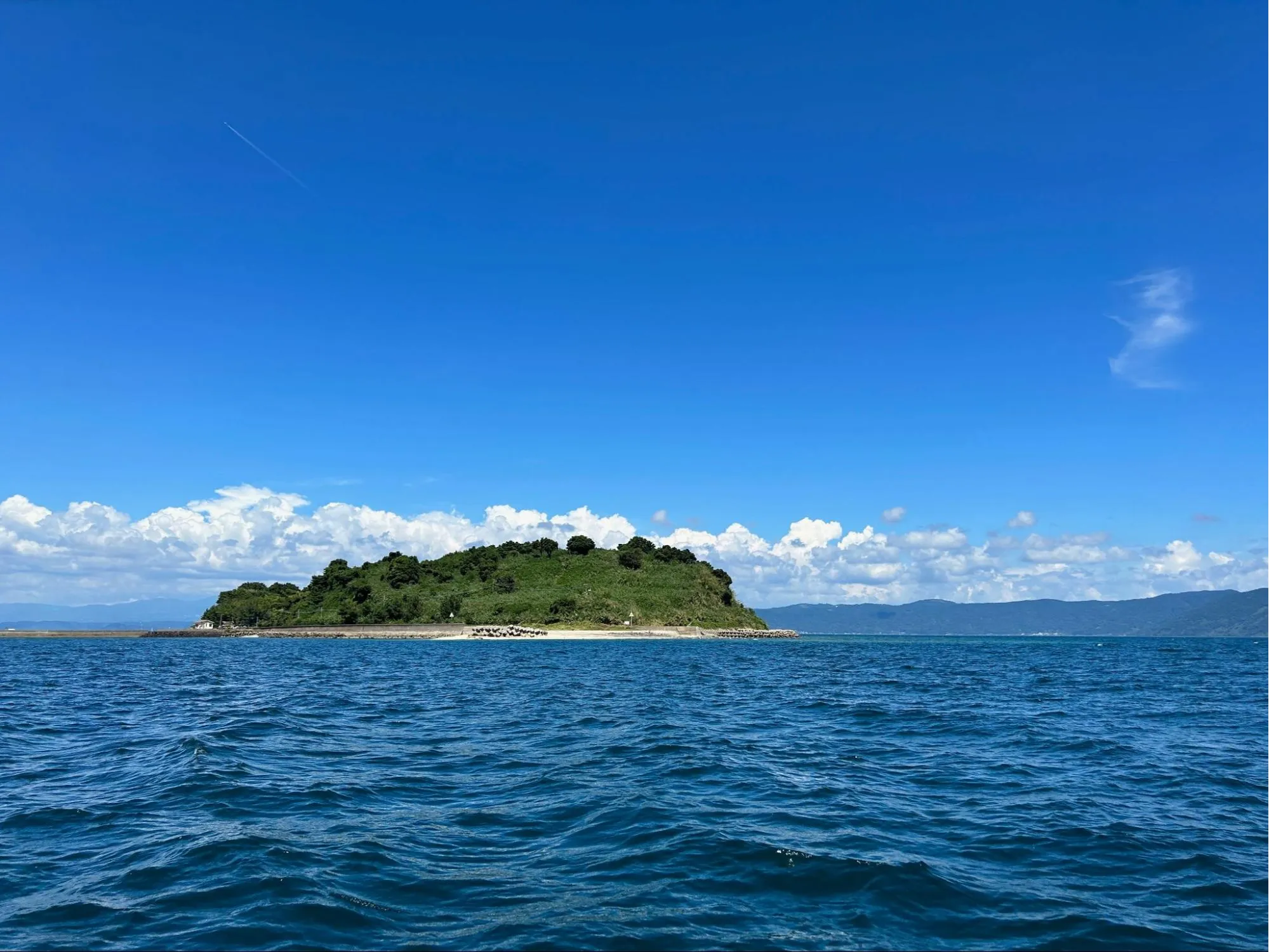 人がヒトを超えた存在をケアすることの意味の画像