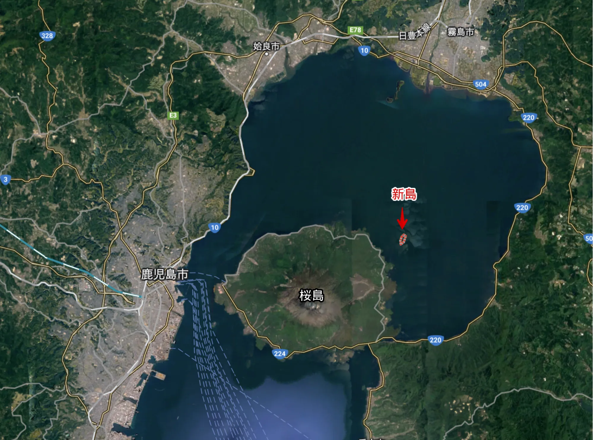 人がヒトを超えた存在をケアすることの意味の画像