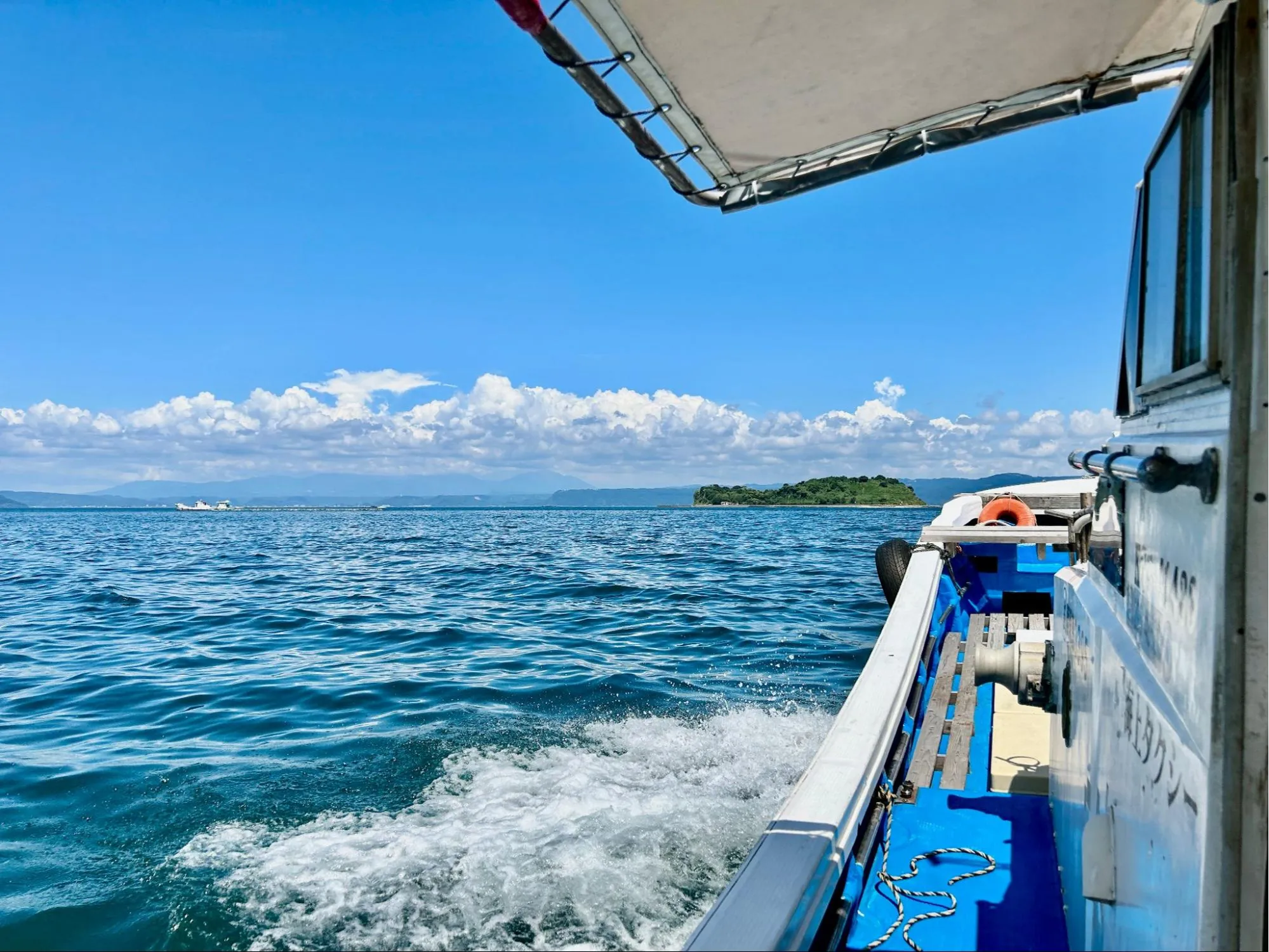 人がヒトを超えた存在をケアすることの意味の画像