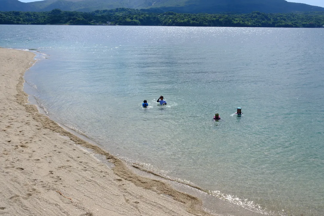 人がヒトを超えた存在をケアすることの意味の画像