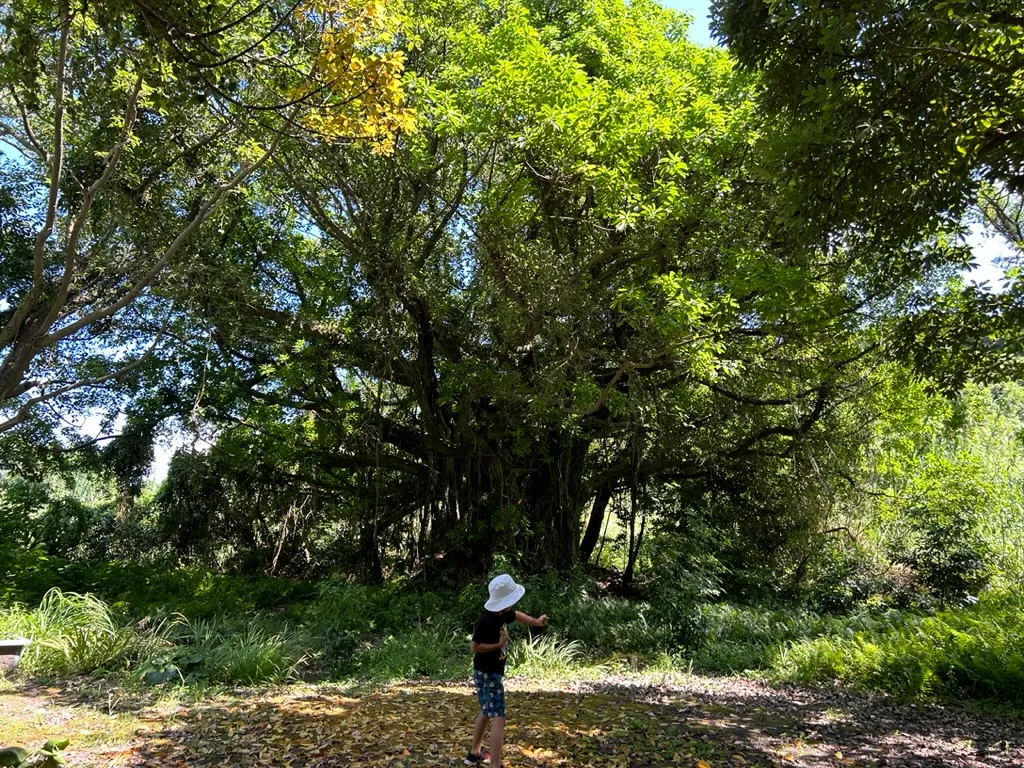 人がヒトを超えた存在をケアすることの意味の画像