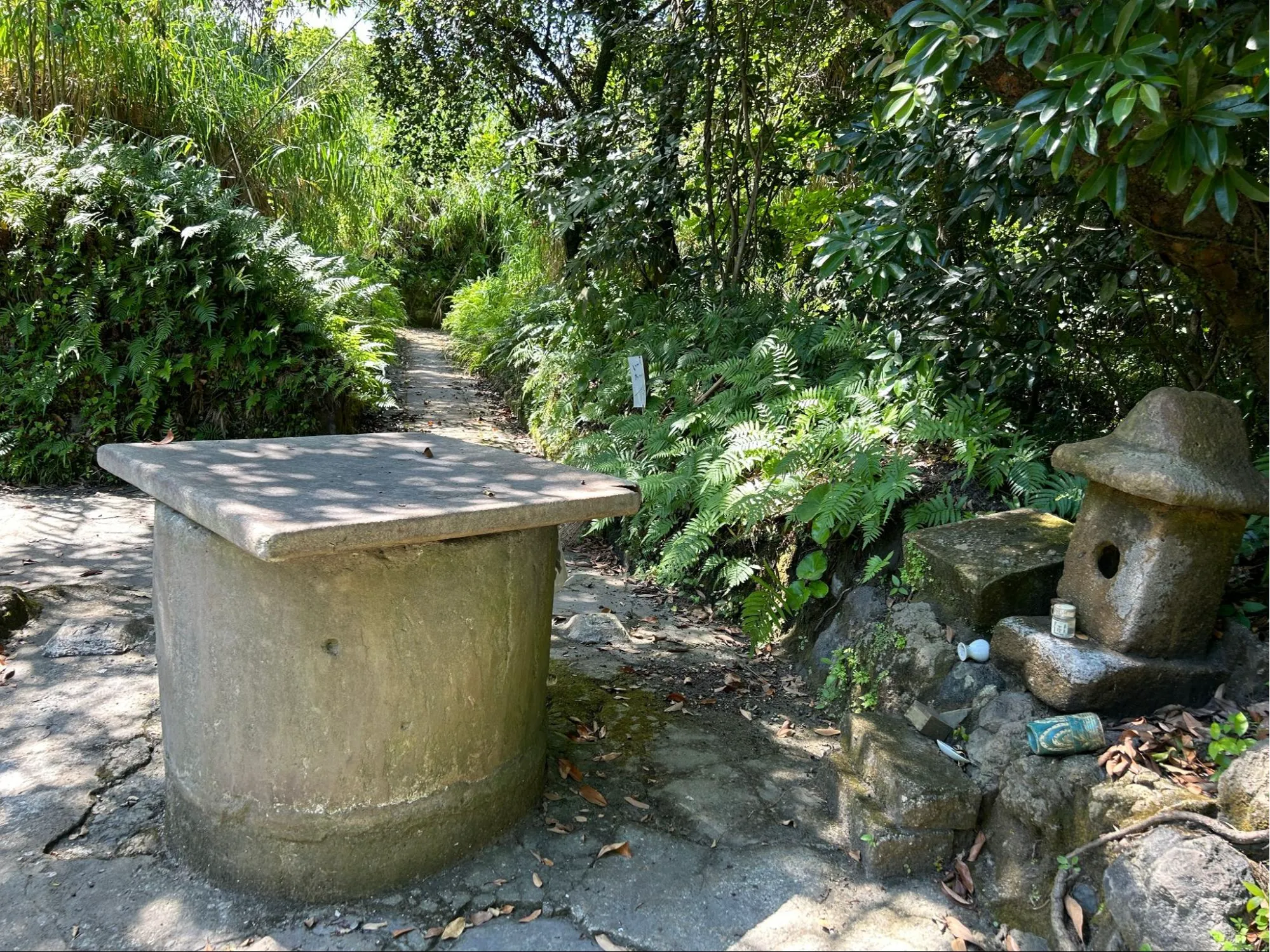 人がヒトを超えた存在をケアすることの意味の画像