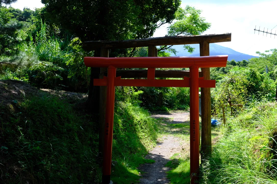 人がヒトを超えた存在をケアすることの意味の画像