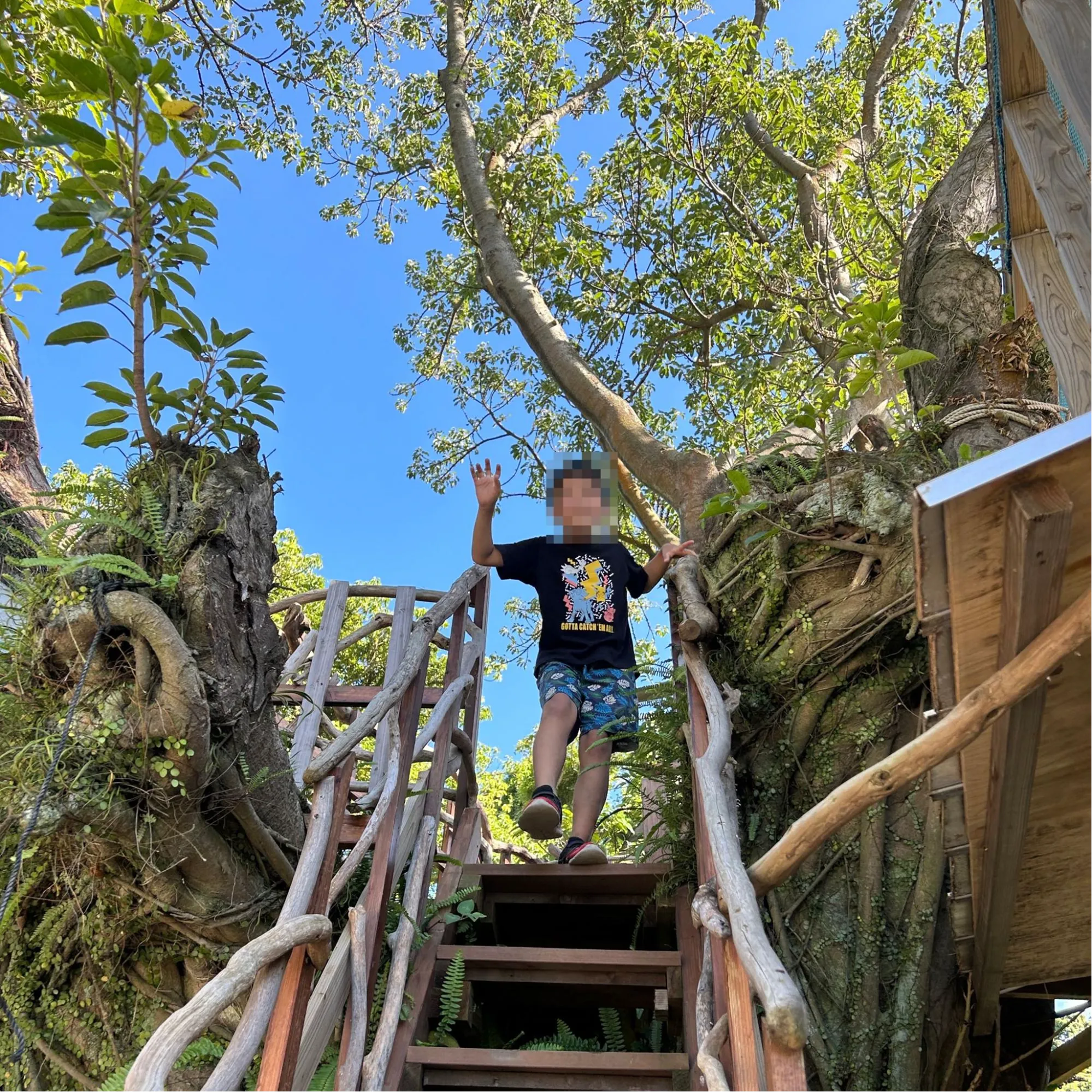 人がヒトを超えた存在をケアすることの意味の画像