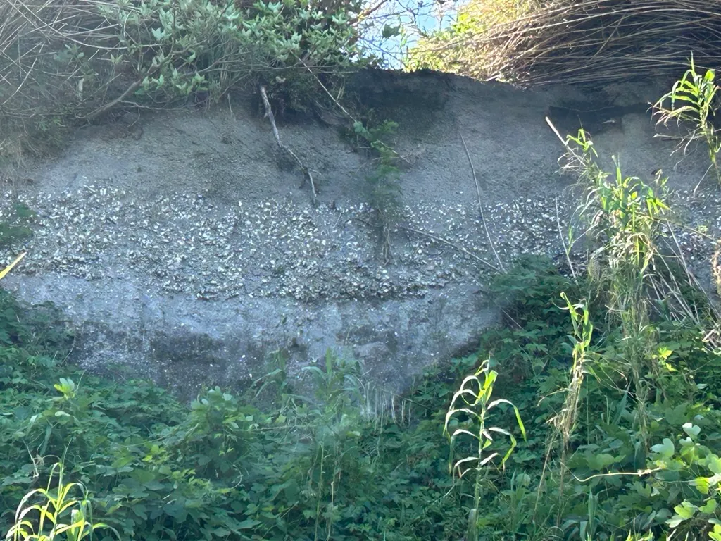 人がヒトを超えた存在をケアすることの意味の画像