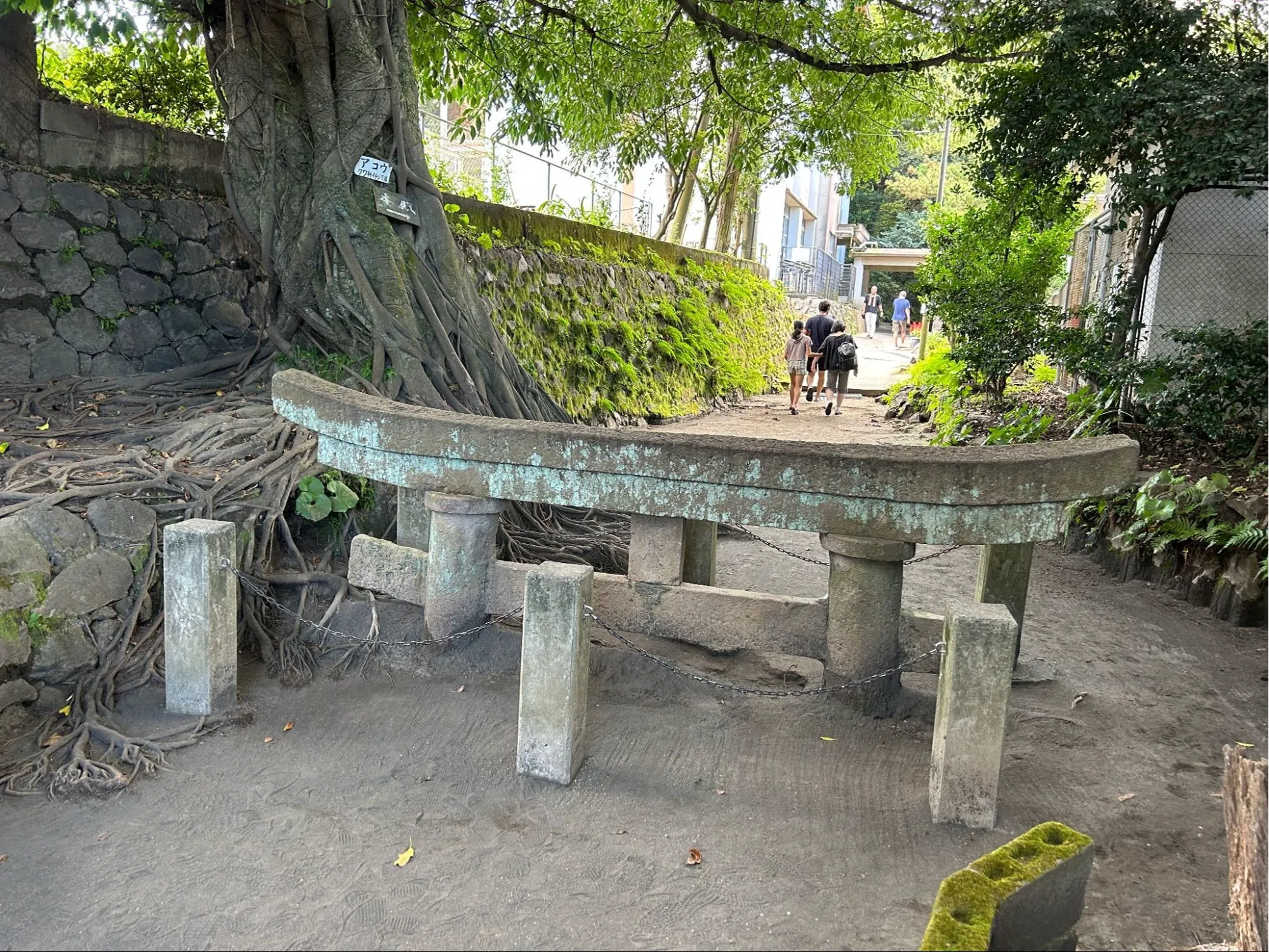 人がヒトを超えた存在をケアすることの意味の画像