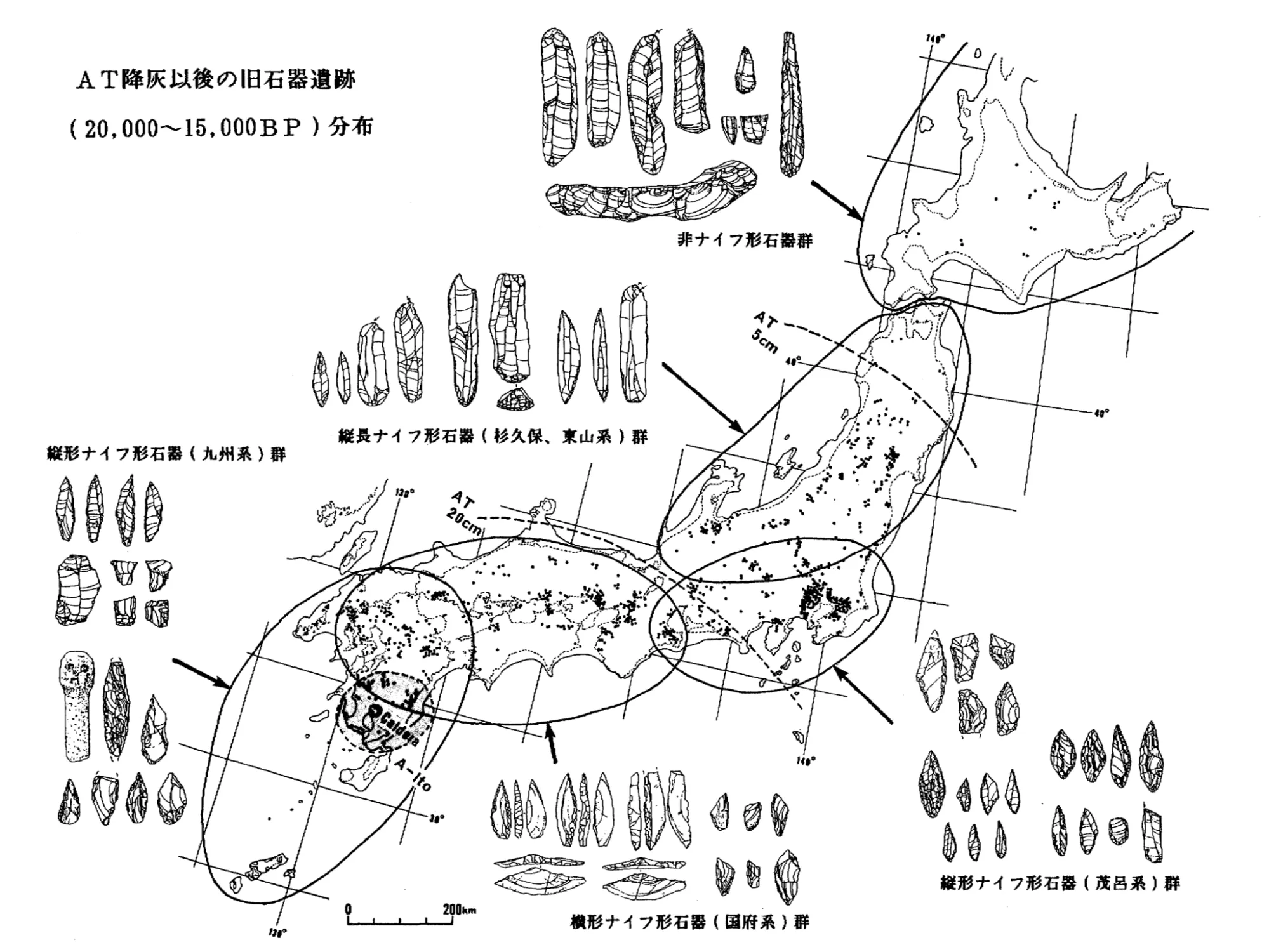 人がヒトを超えた存在をケアすることの意味の画像