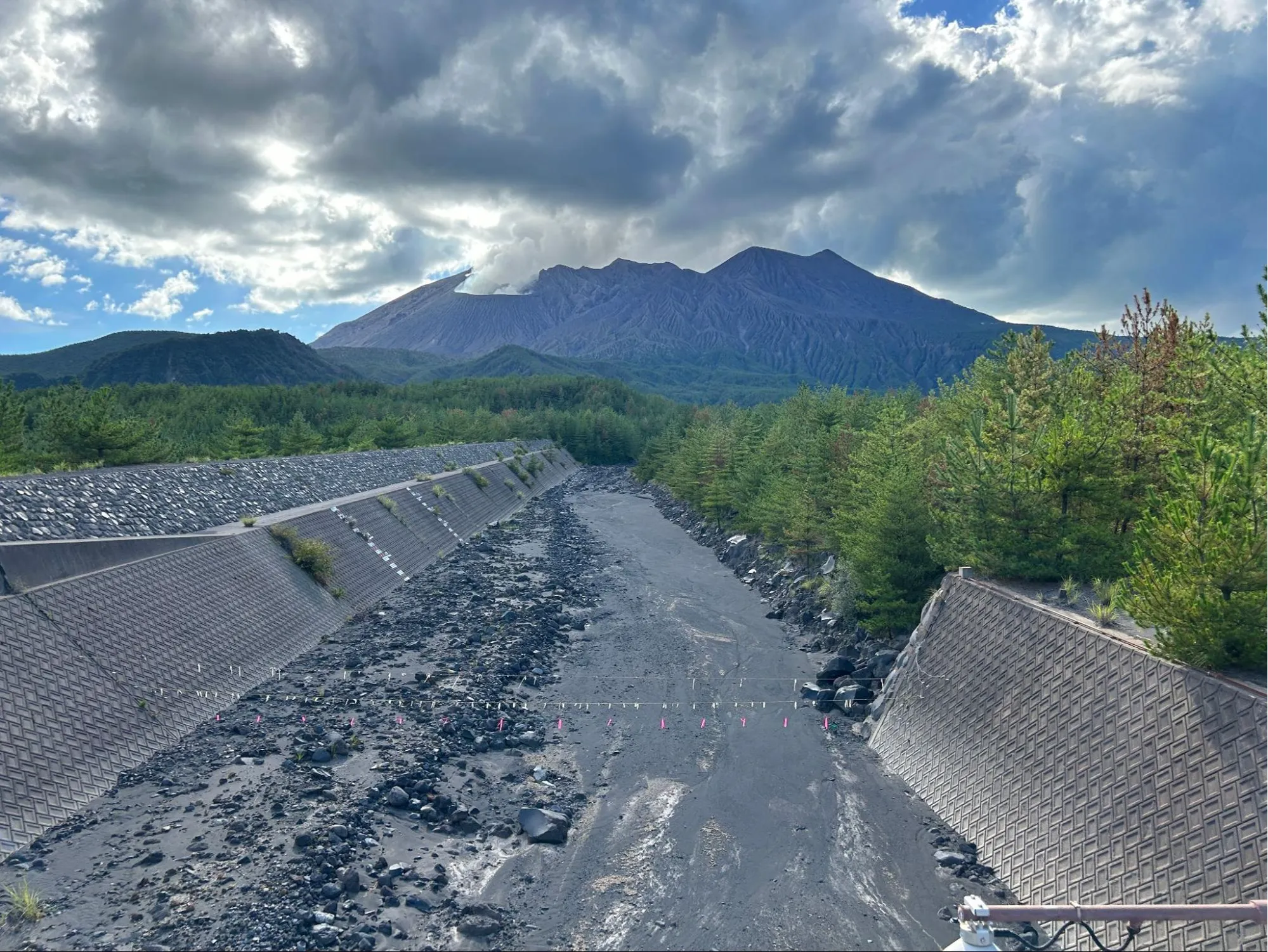 人がヒトを超えた存在をケアすることの意味の画像