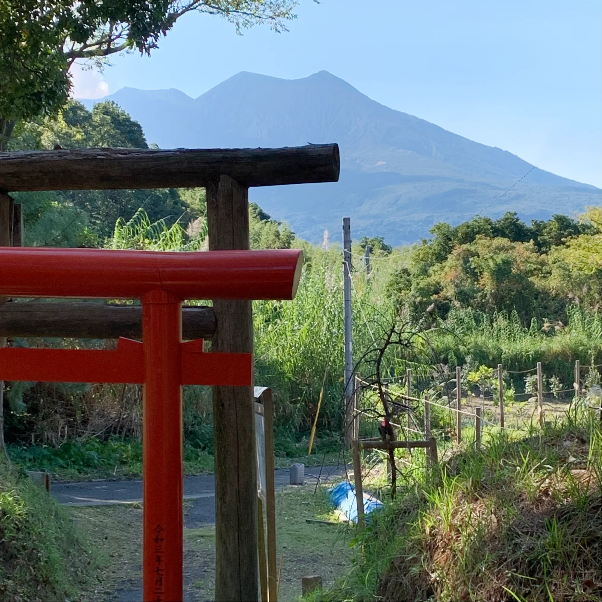 人がヒトを超えた存在をケアすることの意味の画像
