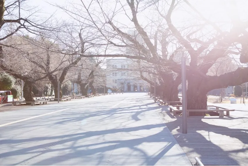 ［鼎談］文理のエコロジーの画像