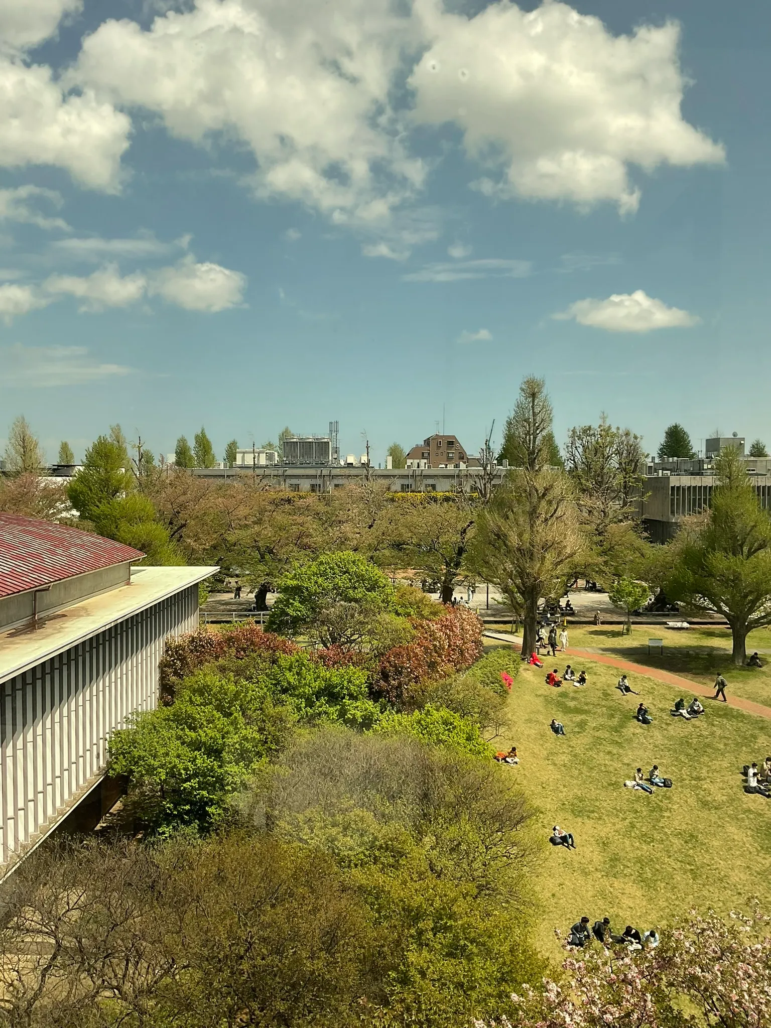アーカイヴとウェブ上の記憶をめぐる作業日誌 #6の画像