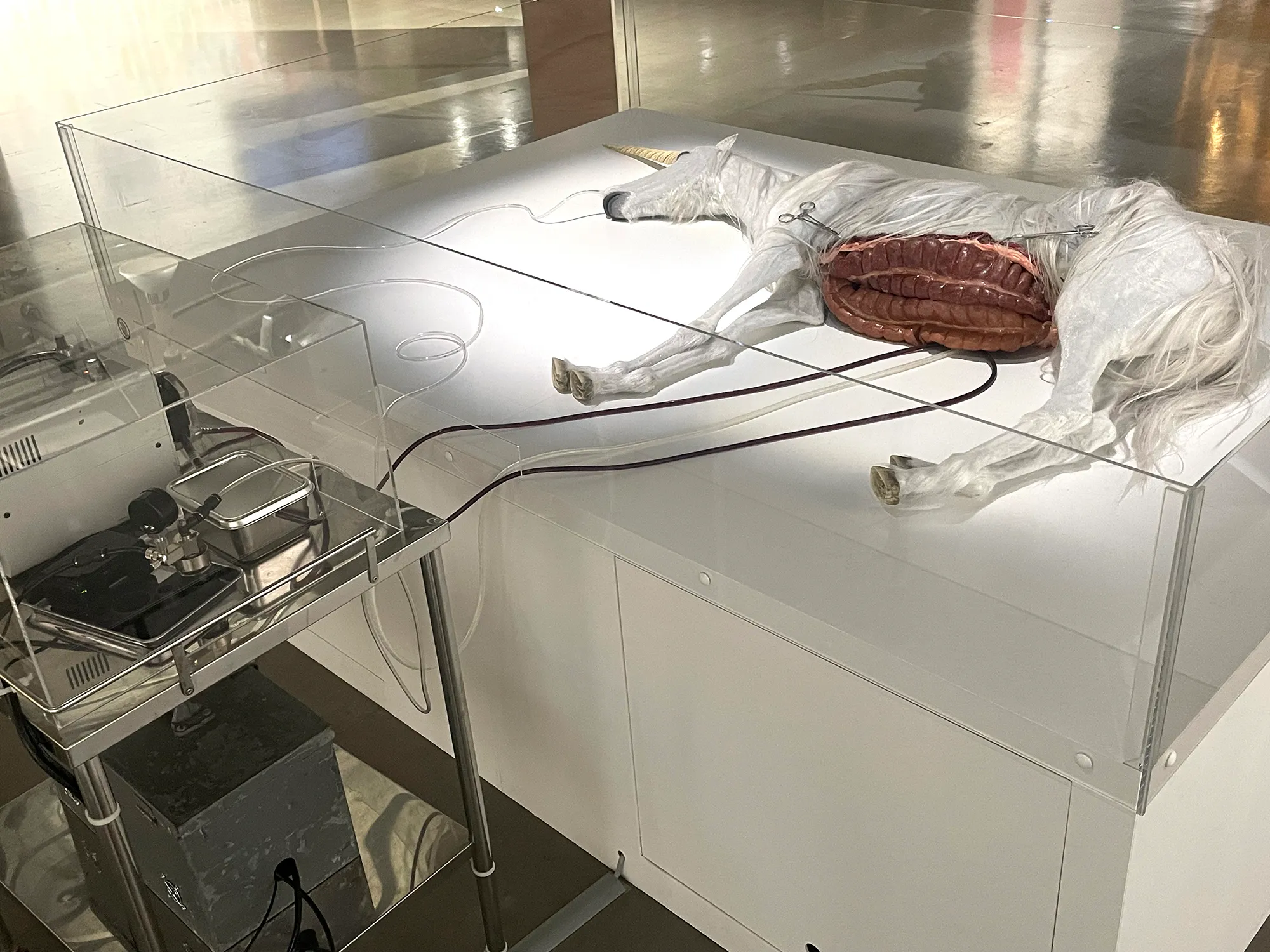 窓、ARグラス、あるいは投壜通信の画像