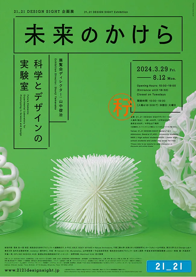 d View 2024年6月の画像