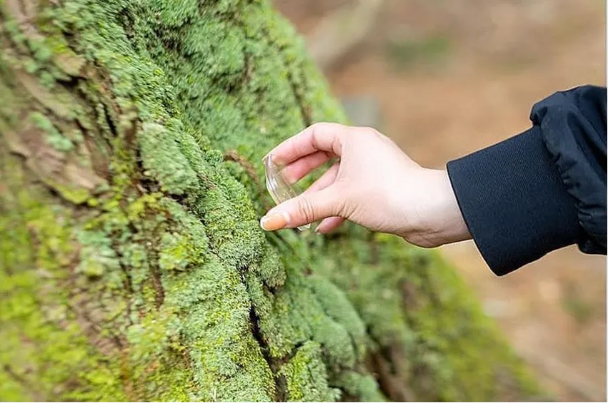 あなたは微生物の都市であるの画像