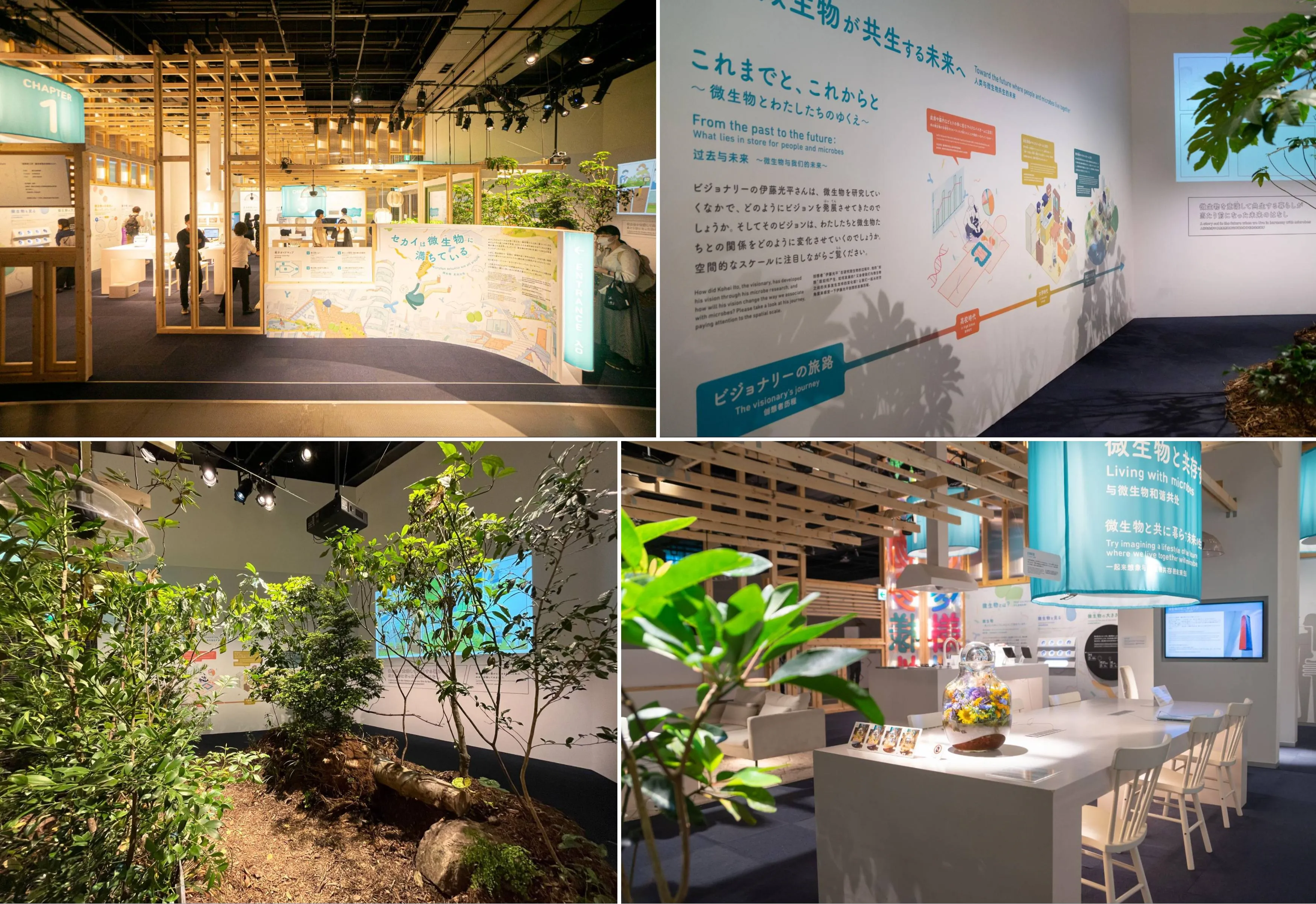 あなたは微生物の都市であるの画像