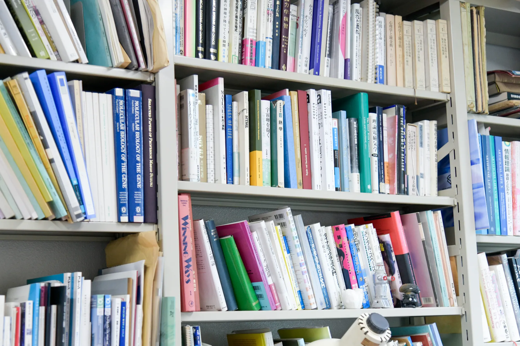 意味と無意味のあいだで変化してい く、人間とAIの画像