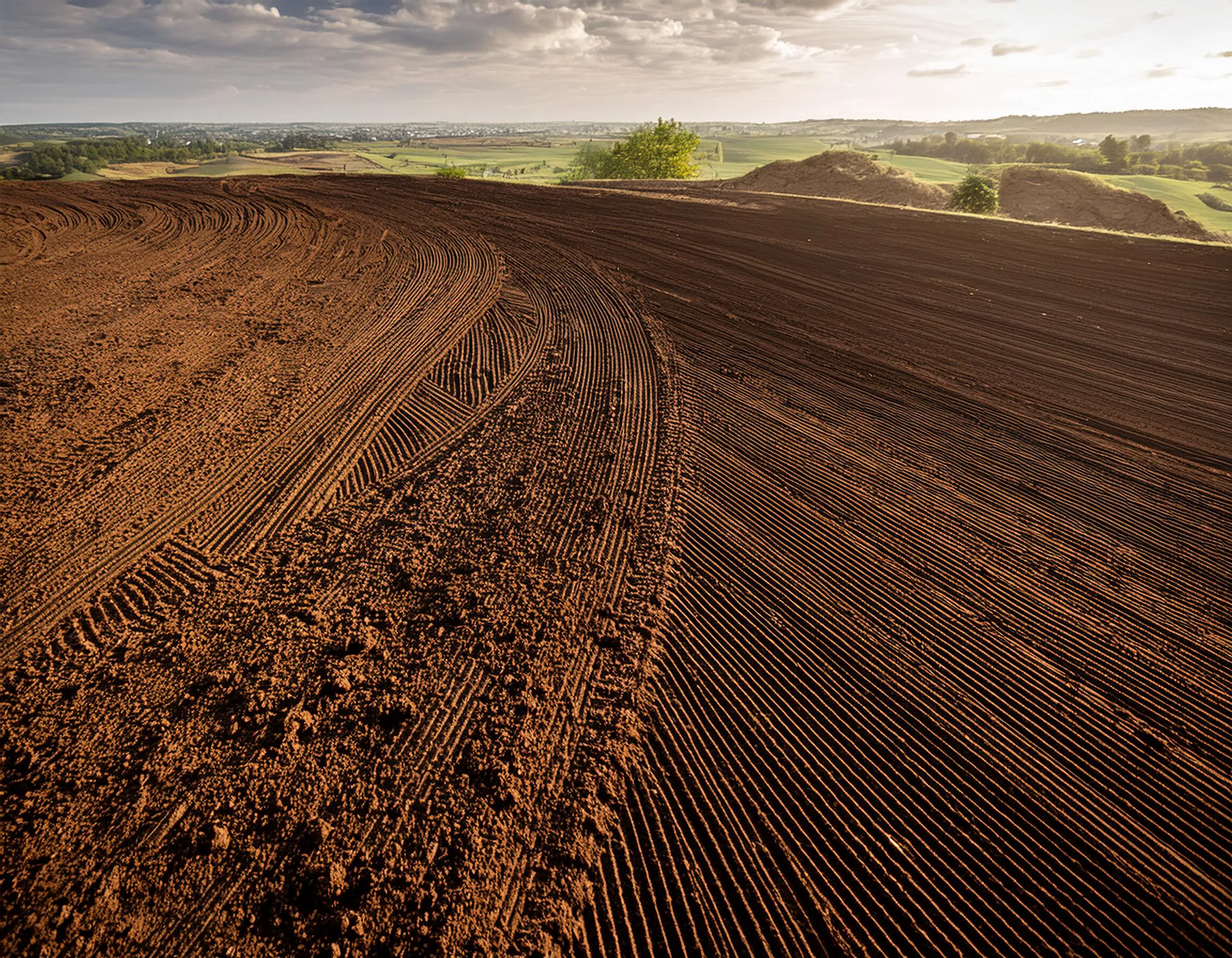 大地に降り立つ――「惑星政治学」の実践とは？の画像