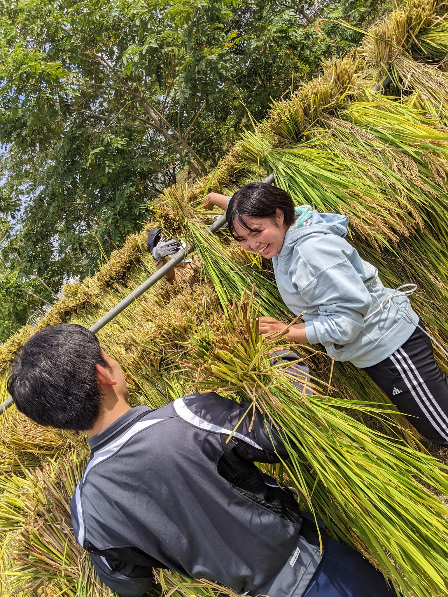 大地に降り立つ――「惑星政治学」の実践とは？の画像