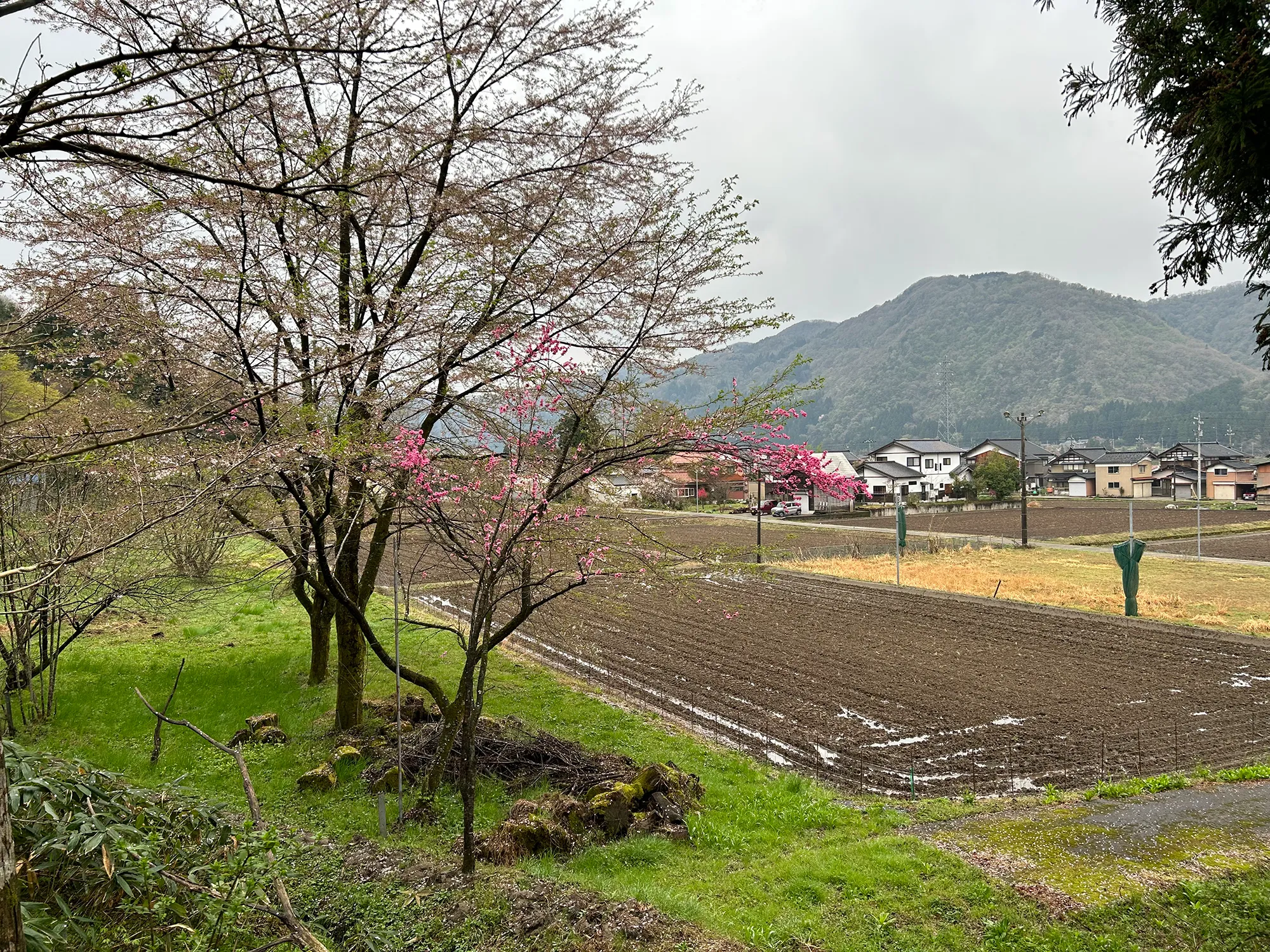 結城正美（環境文学）ヒカヒカの土地の先に――農地の大区画化と〈種の孤独〉の画像