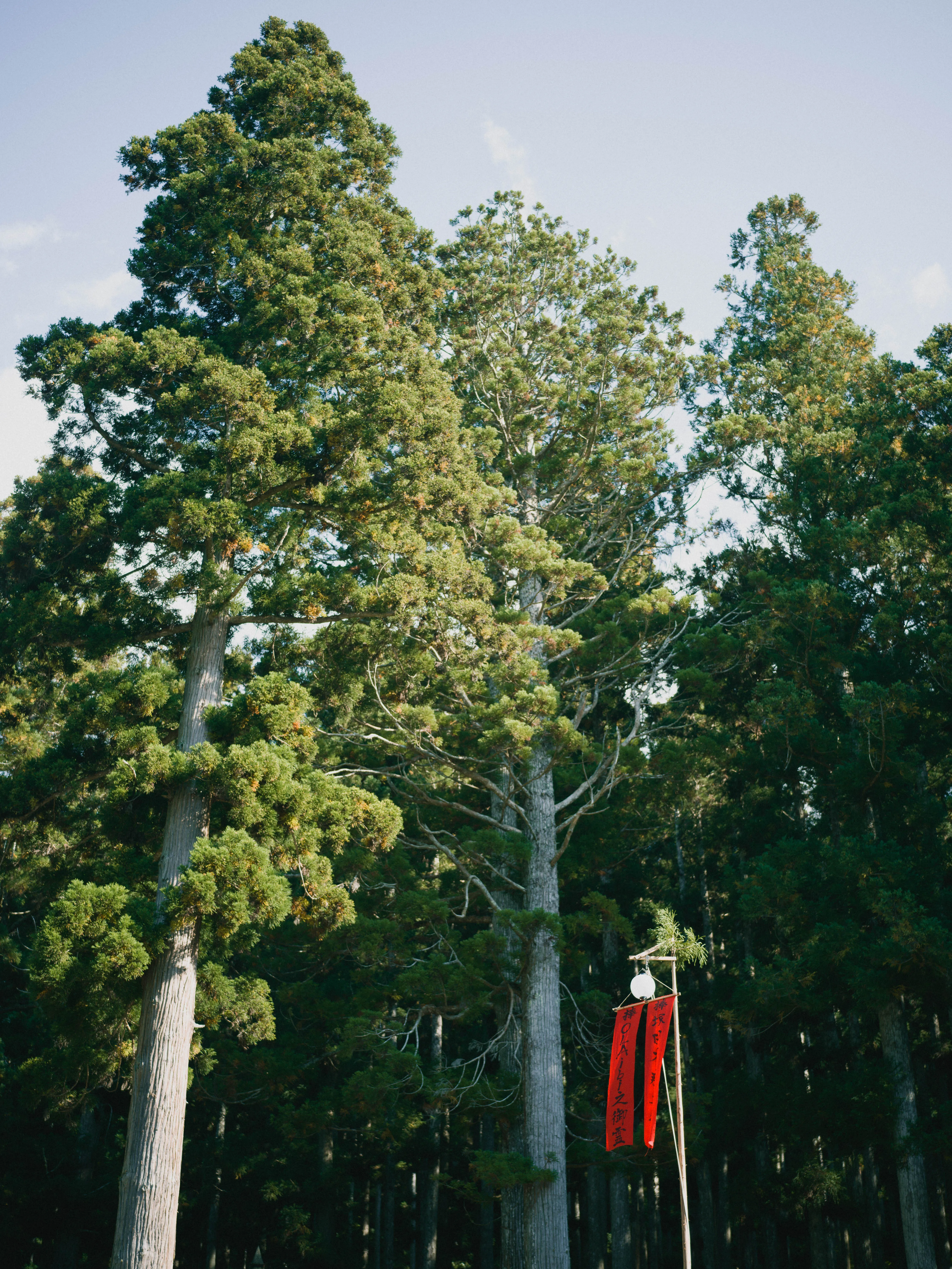 魂の共異体としての遠野の画像