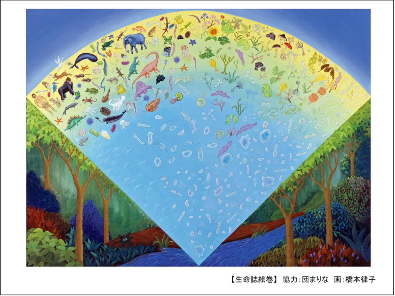 中村桂子さん講演「生命誌から見えてくる世界」#1：「人間は生き物である」の画像