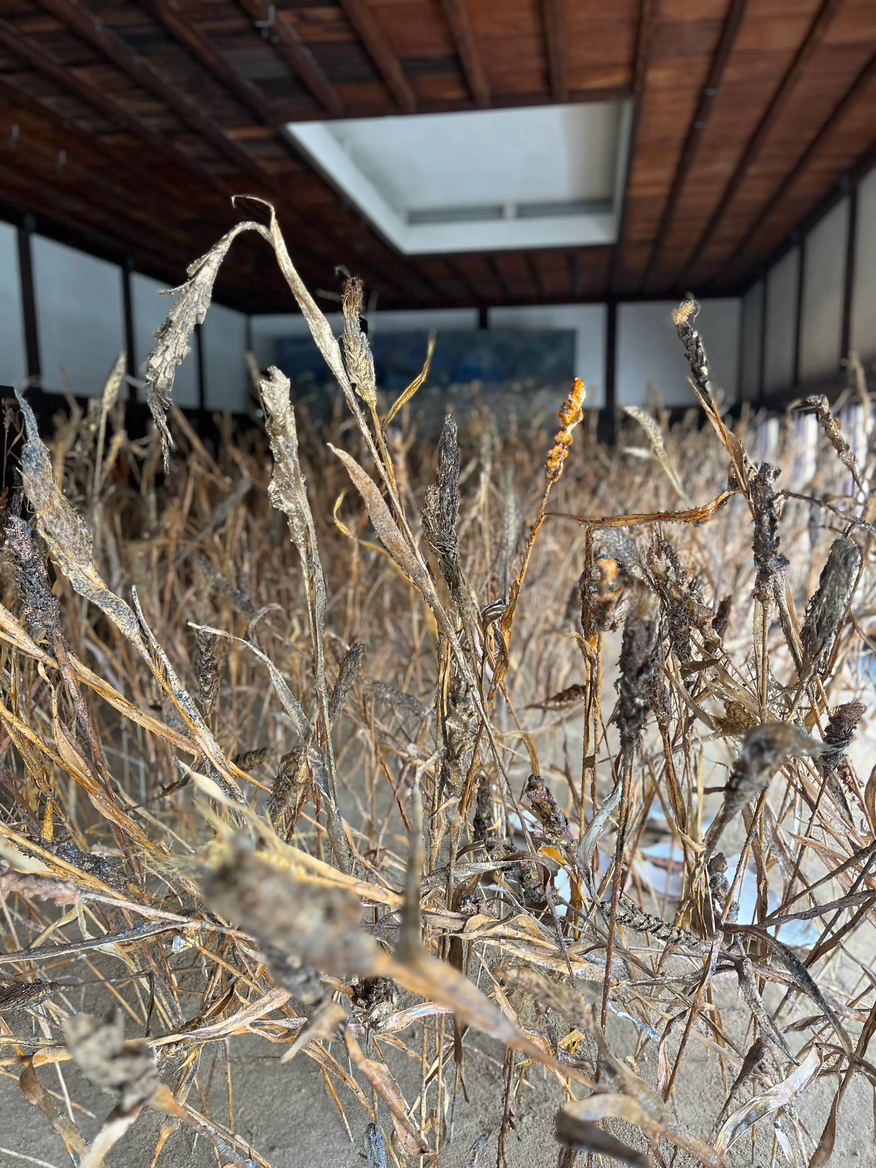 アンゼルムは、ここにいる。の画像