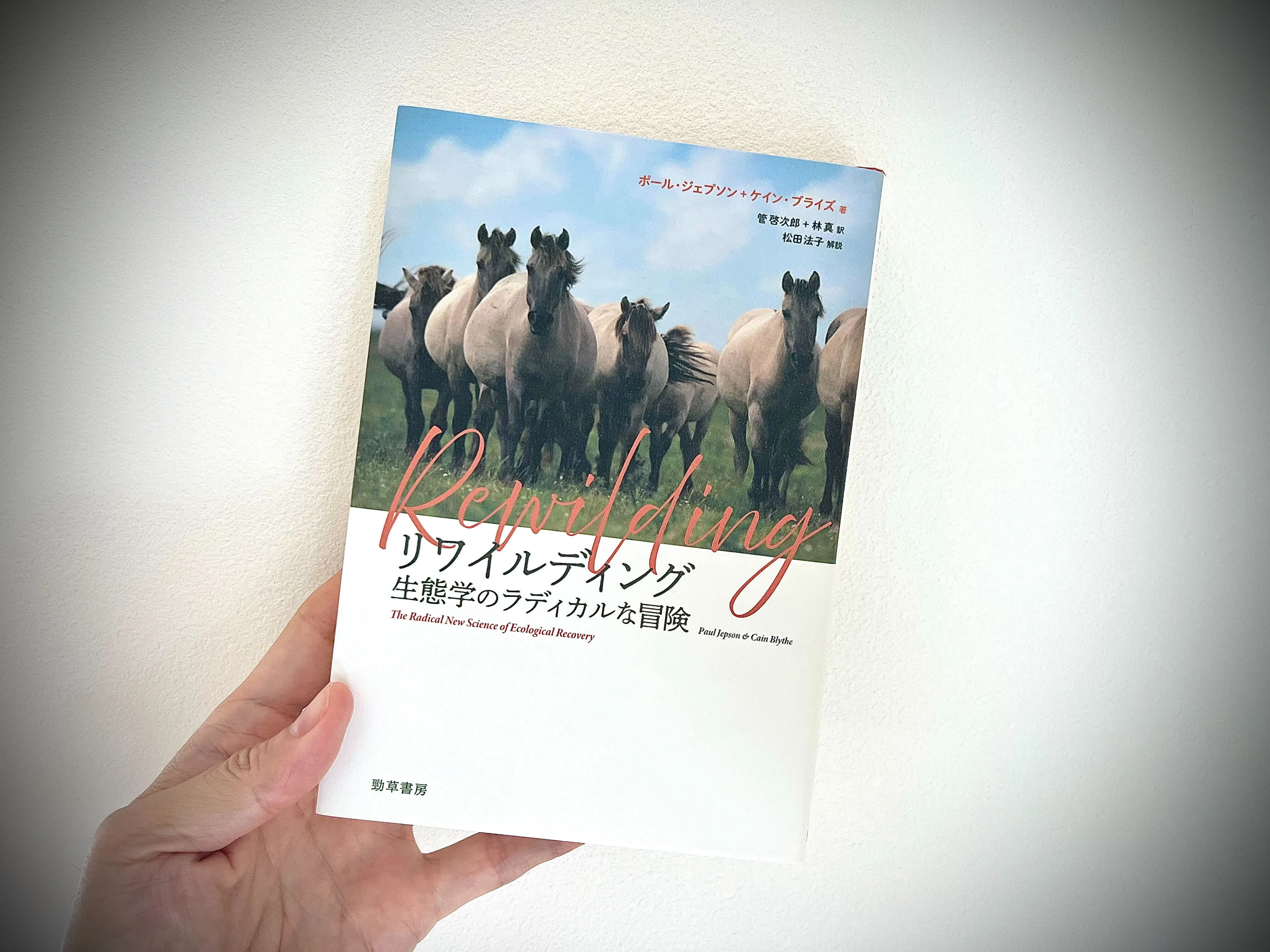人口減少社会で進む“野生の復活”──「リワイルディング」は生物多様性保全の希望になるか！？の画像