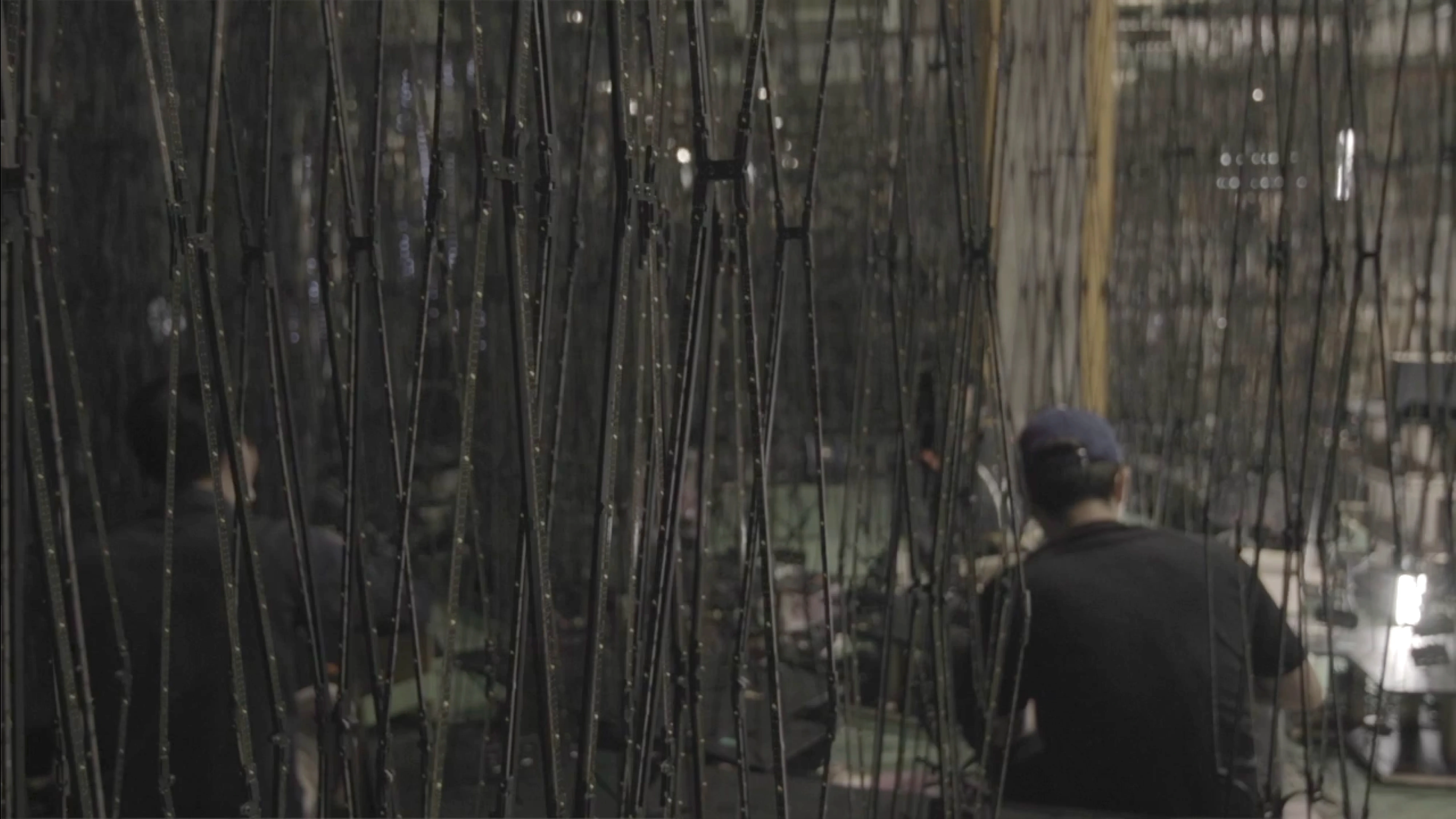 福岡伸一、万博《いのち動的平衡館》で伝えたかったこと #4 展示篇の画像