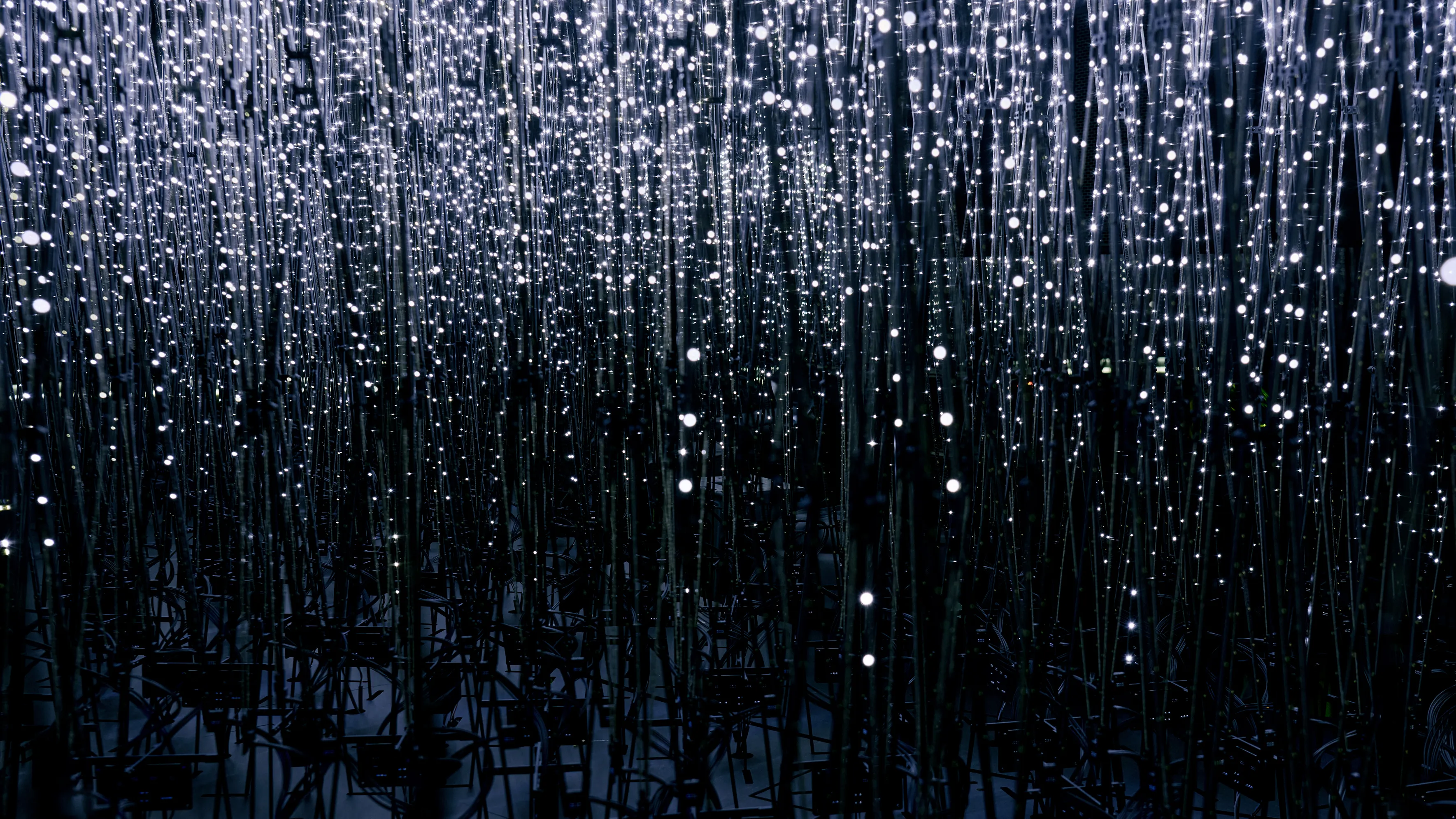 福岡伸一、万博《いのち動的平衡館》で伝えたかったこと #4 展示篇の画像