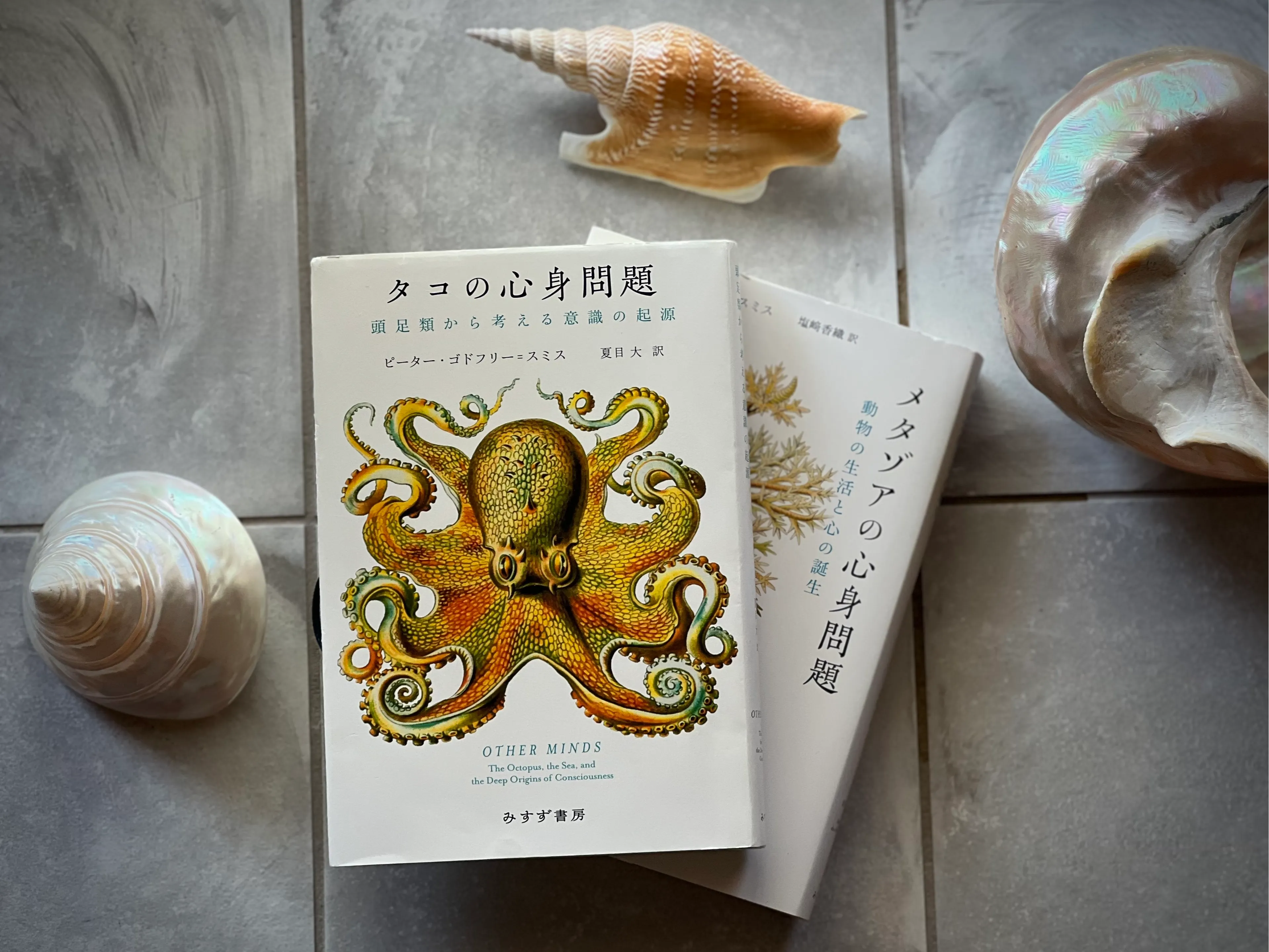 RADWIMPSドラマー・山口智史はなぜ研究者になったのか #2の画像