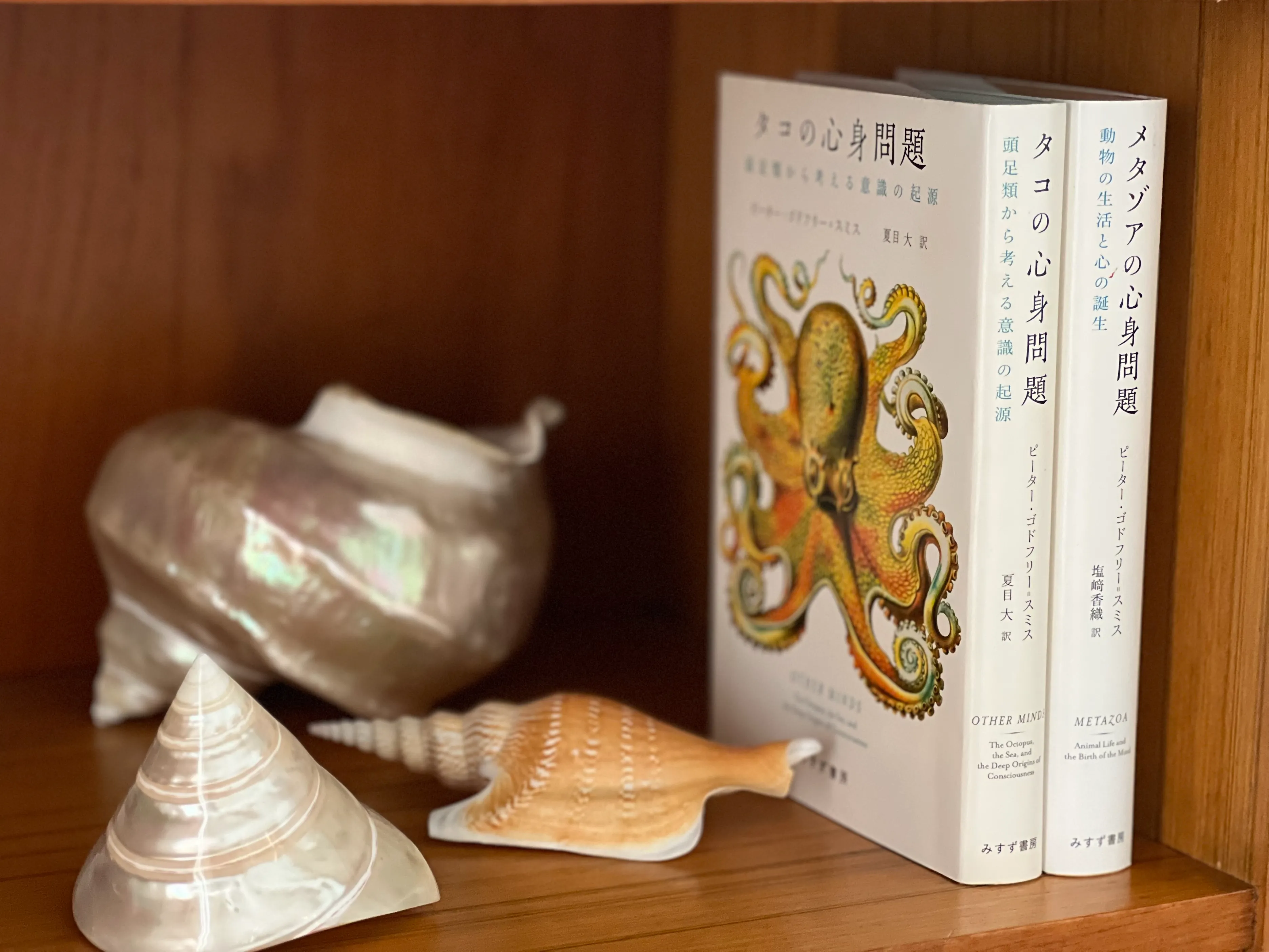 『タコの心身問題』のゴドフリー゠スミスと語る、生き物の意識 #4の画像