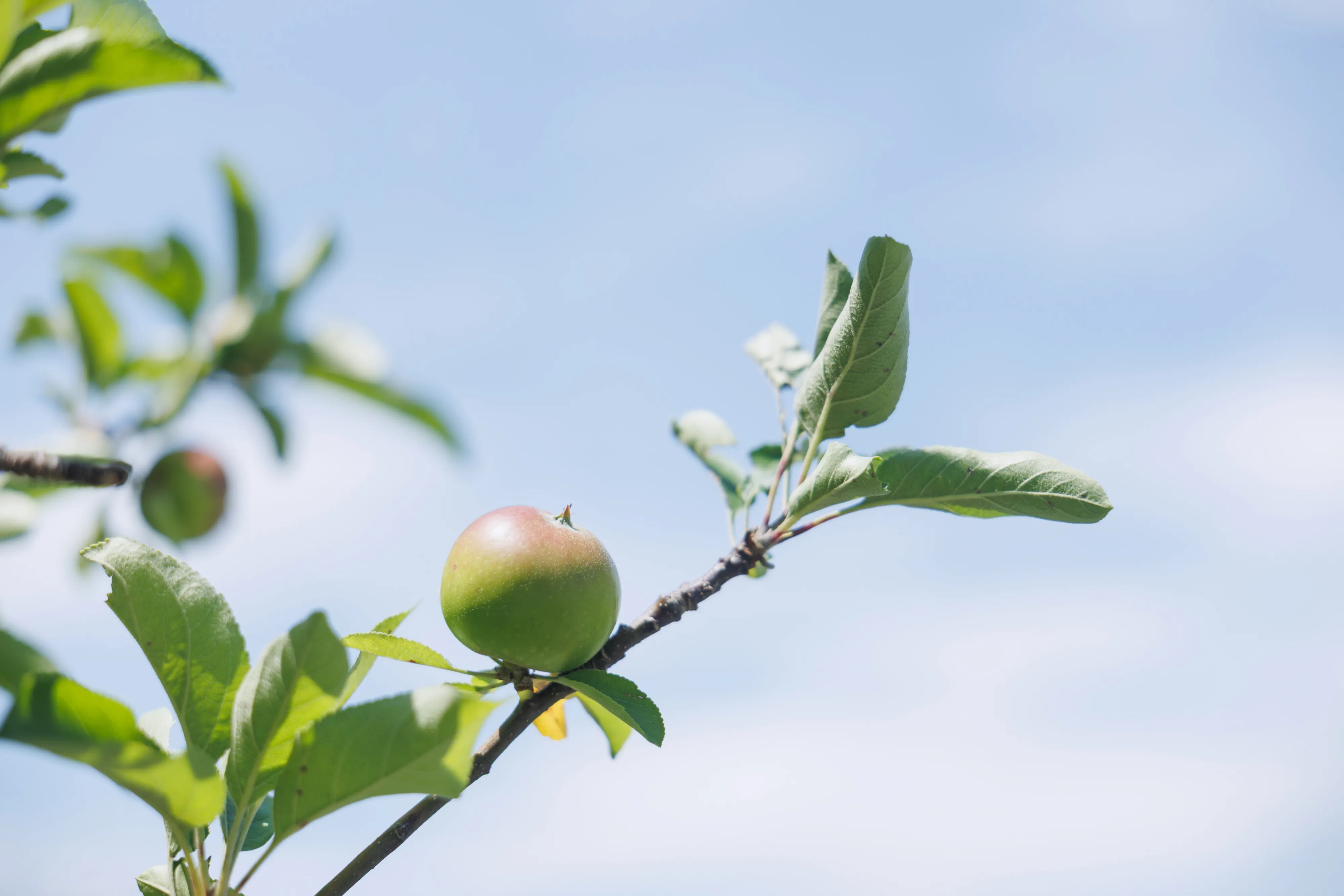 DISTANCE.media編集会議2026　ドミニク・チェン × 田中みゆき × 山本貴光 #1の画像