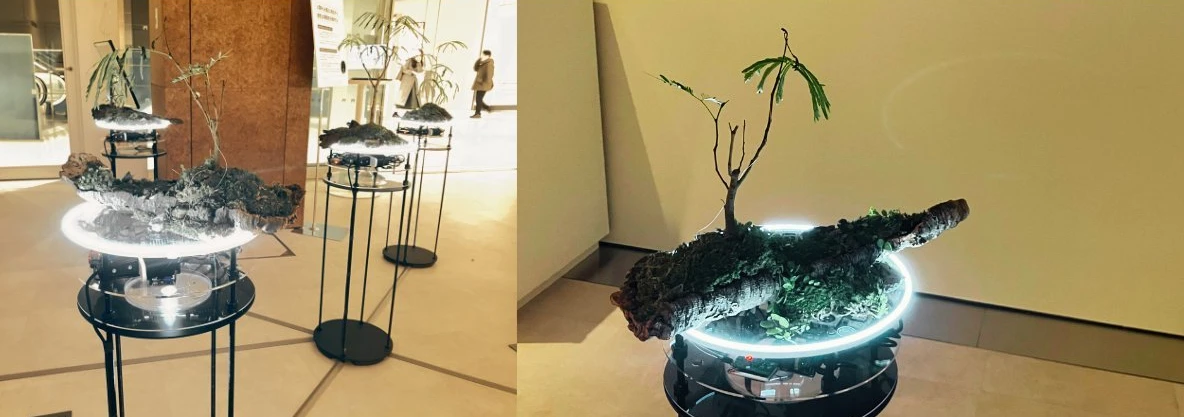 「人のよくあること」から「人と世界がともによくあること」への画像